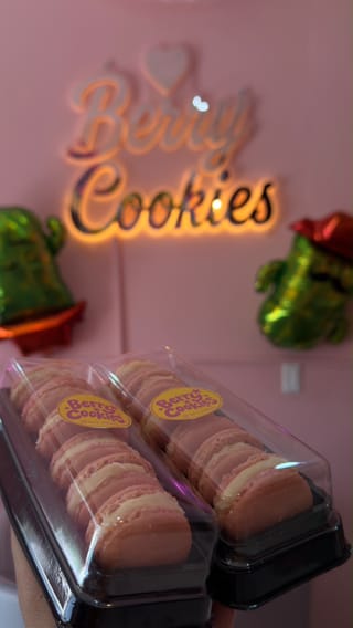 Macarons domo