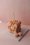 Macaron Cake